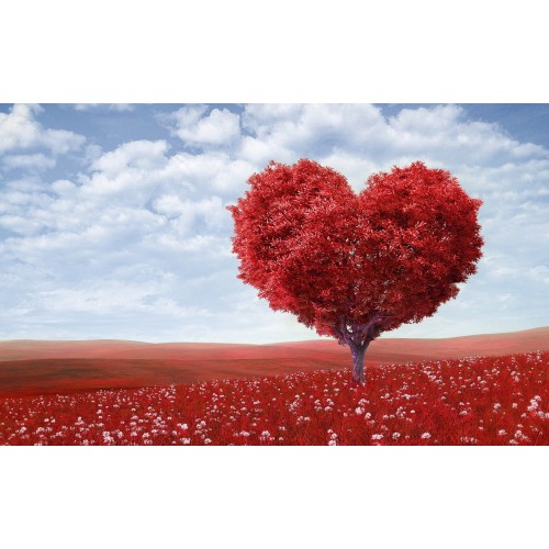 5 ways to de-stress for heart health 5 ways to de-stress for heart health
